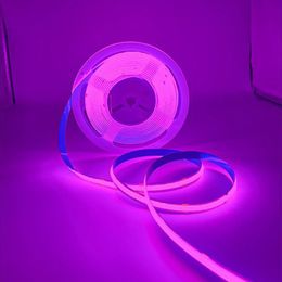 LED Neon Strings Light 12V Touwen Lichten IP65 Waterdichte Warm Wit Flex Lampen Siliconen Touwverlichting Indoor Outdoor Decor Diy Borden 320leds Usalight