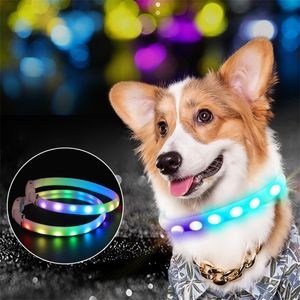 LED PET COLLAR COLLAR SÉCURITÉ NUMÉRIELLE Éclairage clignotant dans la laisse des chiens de chien noir