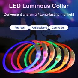 Led Pet Luminous Collar USB oplaad Kraag Teddy Anti Lost Collar Flashing Necklace Hond Cat Accessoires Leveringen