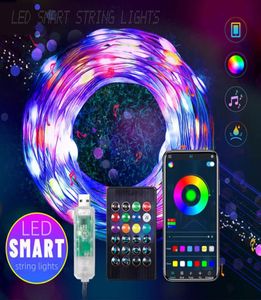 LED Pixel String Light Outdoor Bluetooth App Control 33ft RGB Christmas Lights Strip ICRGB USB LED Fairy Lamp9779396