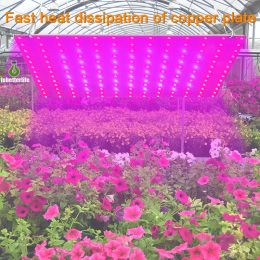 LED Plant Grow Light 85-265V Phytolamp 2835 81led 169led IP20 Niet-waterdichte Groei Verlichting Volledige Spectrum Hydrocultuur Plantenlamp LL