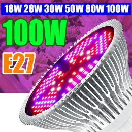 Led Plant Grow Light Full Spectrum Greenhouse LED LAMP 2835 Hydroponics Phyto 18W 28W 30W 50W 80W 100W Indoor Bloemzaailing