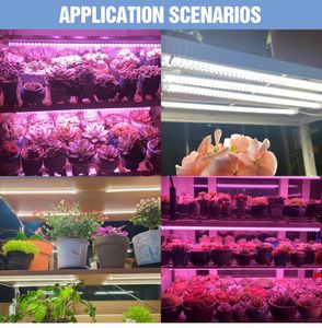 LED plante ampoule serre cultiver lampe spectre complet hydroponique système de culture Diode Phyto éclairages