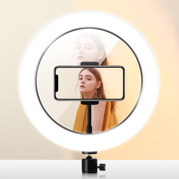 Miroir lumineux annulaire LED avec support de téléphone, 3 Modes d'éclairage 5600K pour maquillage, vidéo, selfie, diffusion en direct de photos sur YouTube TikTok