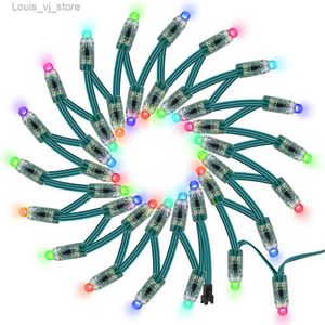 LED Strings 50 stuks WS2811 DC 5V 12V 12mm Module Zwart Groen RWB Draad String Kerst licht Adresseerbaar IP68 Waterdicht YQ240401