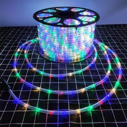 LED-snaren Rainbow Tube Lamp 220V Fairy Neon String Light RGB-slinger Buitenverlichting met EU-stekker voor Kerstmis Festival Party Decor2283