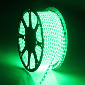 LED Strip Licht Waterdichte RGB Strips Lint 5050 LED Tape 220 Flexibele Sting 220V 60LEDS / M Verlichting met EU-stekker