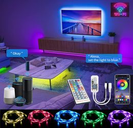 LED Strip Lights 5M30M Mini WiFi met app Control Music Sync RGB Licht 5050 SMD Ribbon Diode Tape 44Keys IR Controller AC100240V1697283