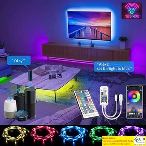 Led Strip Lights 5M30M Mini WIFI avec App Control Music Sync RGB Light 5050 SMD Ruban Diode Ruban 44Keys IR Controller AC100240V Power