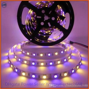 LED-strip SMD 5050 RGBW 12V Flexibele Licht RGB + Wit / Warm Wit 60LEDS / M Waterdicht / Niet-waterdichte Strip 5m / partij