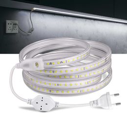Bandes LED Bande lumineuse LED de haute qualité, AC 110V 220V, 2835SMD, 120LED s/m, lampe d'extérieur Flexible, étanche, avec prise d'alimentation ue/US P230315