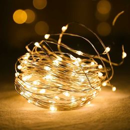 LED Strips LED Fairy Lights Copper Wire String Lights Garland Night Lamp Home Room Indoor Slaapkamer Wedding Vakantie Kerstdecoratie 2023 P230315