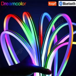 LED Strips LED Neon Strip Licht 12V RGBIC DreamColor Flexibele LED Strip Licht WS2811 Dimable Chasing Strip Tape Remote/Bluetooth/Tuya WiFi J230308