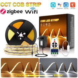 LED Strips Tuya Alexa CCT Bicolor Cob LED Strip Voice Control Lights Flexibel Dimable for House Decoration Lighting WiFi Zigbee Smart Home P230315