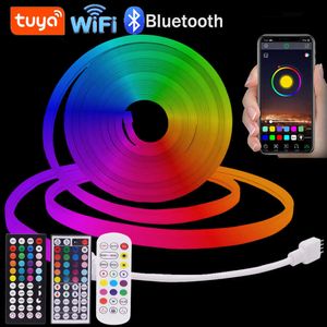 LED-strips Tuya Smart WiFi LED-strip Neonverlichting DC 12V RGB LED-strip Bluetooth APP Controle Neonreclame Buiten waterdicht Flexibele LED-tape HKD230802