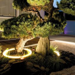 Led arbre tenant lampe éclairage tir cour Villa paysage cour pelouse Projection lumière extérieure S