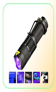 LED UV 365nm 395nm Blacklight Scorpion UV Light Pet Urine Detector Zoomable Ultraviolet Rechargeable Eclairage extérieur2011823