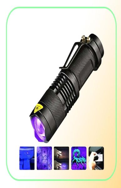 LED UV 365nm 395nm lumière noire Scorpion lumière UV détecteur d'urine pour animaux de compagnie Zoomable Ultraviolet rechargeable éclairage extérieur 6768760