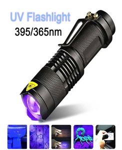 Lampe de poche UV LED torche ultraviolette avec fonction Zoom 365395 nm Mini lumière noire UV détecteur de taches d'urine pour animaux de compagnie chasse sur le terrain3478331