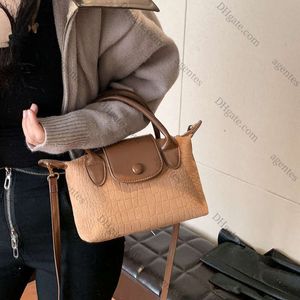 Sac à bandoulière de loisirs et minimaliste pour l'automne et l'hiver 2023, nouveau sac à bandoulière à Texture haut de gamme pour femmes, sac à la mode et polyvalent