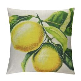 Lemon Summer Fruit Outdoor Style Pillow Clow Home Decoratieve dier kussensloopkussen vierkante kussenhoezen (Summer Lemon)
