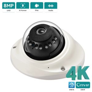 Lentille 8MP 4K IP Camera HD 1080p Vandalproofroprooor Dome Dome Camera Audio Record Motion Detection Xmeye H.265