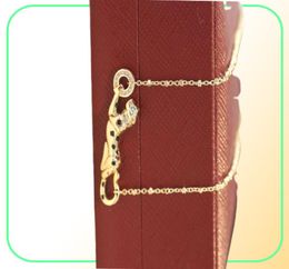 Collier de créateur de léopard bijoux de mode de mode argent rose doré de haute qualité motif diamant en acier design animal de luxe bijoux 4820665