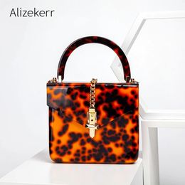 Sac de soirée en boîte acrylique imprimé léopard pour femmes, rétro, poignée supérieure, motif en marbre, pochette de dîner, sac à bandoulière avec chaîne pour dames, 231227