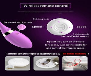 Leten Nieuwe Siliconen USB Direct Opgeladen Vibrerend Ei Waterdichte Draadloze Afstandsbediening Vibrator Sex Producten Speeltjes Voor Vrouw8864175