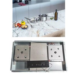 LF Dual Burner Invisible Cook Top Build In Induction Cooker Invisible Hob voor graniet