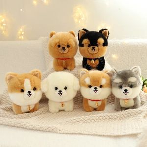 Lifely Corgi Dog Toy Plush Bichon Husky Gevulde zachte simulatie Pitsen Dierlijke pop kerst verjaardagscadeaus voor kinderen