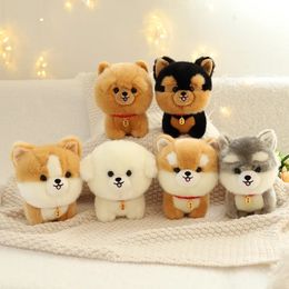 Réaliste Fluffy Dog peluche simulation chiot modèle Shiba Inu Corgi Husky Yorkshire Bichon Frise Chow peluche poupée cadeau 240124