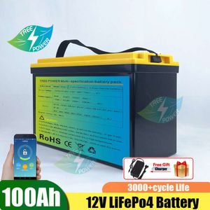 Batterie lithium-ion lifepo4 12V, 100ah, à cycle profond, pour camping-car, système solaire, yacht, chariots de golf, stockage et voiture