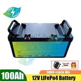 LifePo4 12V 100Ah Oplaadbare lithiumijzerbatterij met BMS voor interview zonnepaneel UPS+ 10A Charger