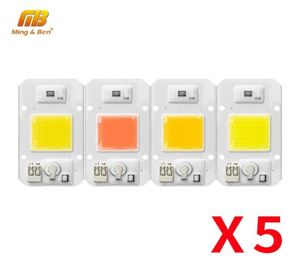 Lichtkralen 5 Lot LED Chip COB Groeien 220 V 30 W 50 W Volledige Spectrum Koud Warm Natuurlijke DIY PhytoLamp Voor Kamerplant Zaad Bloem4229868