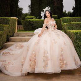 Lichte champagne kapel Quinceanera jurk vestidos de 15 anos sprankelende dromerige elegante meisje galajurk bloemen applique kant tull 16 jurk