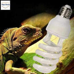 Iluminación 10.0 UVB 13W Lámpara de reptil de reptil Lámpara UV UV Amphibian Vivarium Tortoise Tortuga Snake Pet Energy Salving Calefacción 110V