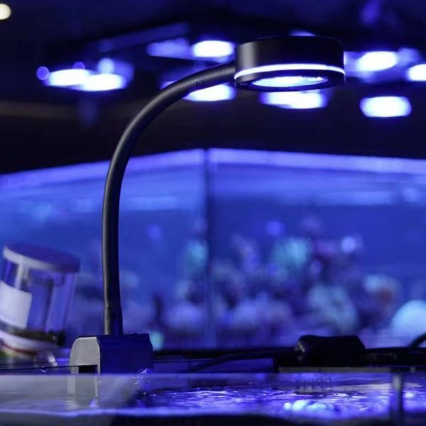 Éclairage 18W Aquarium LED Light Marine Coral SPS LPS Aqua Sea Reef Tank Bleu Blanc Débutant 100240v Pour 3050cm petit réservoir d'eau de mer