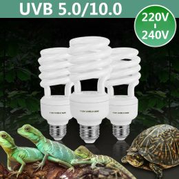 Verlichting 26W Reptile Amfibieën UVB Bulb 5.0/10.0 Ultraviolet gloeilamp Fluorescent Terrariumlamp Calciumtoevoer EnergySaving Lights