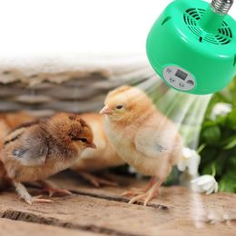 Éclairage chauffant lampe à la lampe Animal Édifice de chaleur pour le chiglet de poulet Piglet PET Thermostatique Contrôleur de température