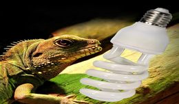 Iluminación de la bombilla de reptil 5 10 UVB 13W Lámpara UV UV Vivarium Terrarium Snake Pet Heating7179044