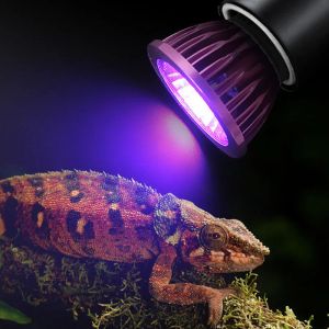 Verlichting Reptiel Nachtlamp Imitatie Maanlicht Nachtrust Verlichting Lamp voor Schildpad Hagedis Slang Reptiel Amfibie Huisdieren Accessoires