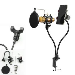 Accessoires de studio d'éclairage Support de microphone 3 en 1 Support de pince de téléphone avec support de bras de pare-brise flexible Rotation à 360 degrés 230908