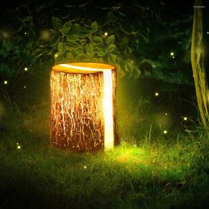 Verlichtingsstronk die houten originele ecologische graanlamp imiteert buiten gazon tuin villa