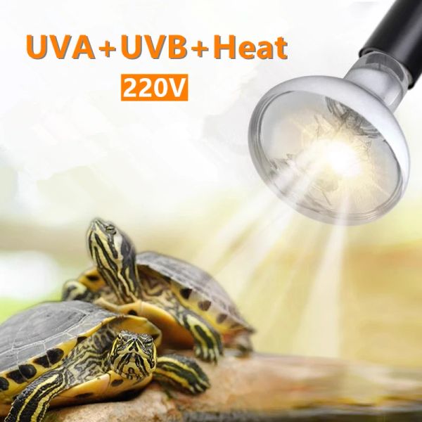 Éclairage d'ampoule pour tortue pour lézard lampe de chauffage pour les reptiles accessoires de tortue uva