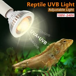 Lighting Uvb Reptile Lamp Lizard Accessories Turtle Light Bulb For Tortoise Snake Terrarium Reptiles Supplies Uv Light Bulb for Turtles