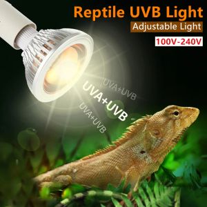 Iluminación UVB Lámpara de reptiles Accesorios Lizard Bulbe de tortuga para tortugas Snake Terrarium Reptiles Suministros de bombilla UV para tortugas
