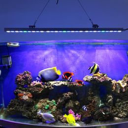 Éclairage 85 cm Aquarium étanche Aquarium Light Marine Coral Reef LED LAMPE LED NUCKERRY PISH TAND DÉCOR LECLUG