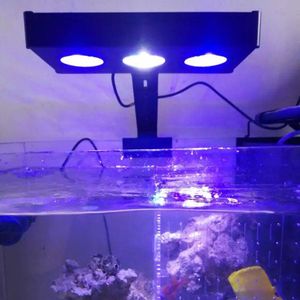 Éclairages Lumière d'aquarium LED 11V spectre éclairage d'eau salée marine pour lampe LED intelligente de corail contrôle tactile lumière de réservoir marin prise américaine