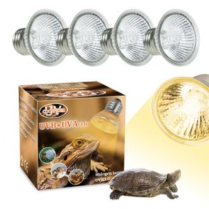 Lights Cooshider UVA UVB 3.0 UV Terrarium Reptile HalogoGE Spectre complet Spotlights Spotlights chauds Panking 110V 220V 4PACK